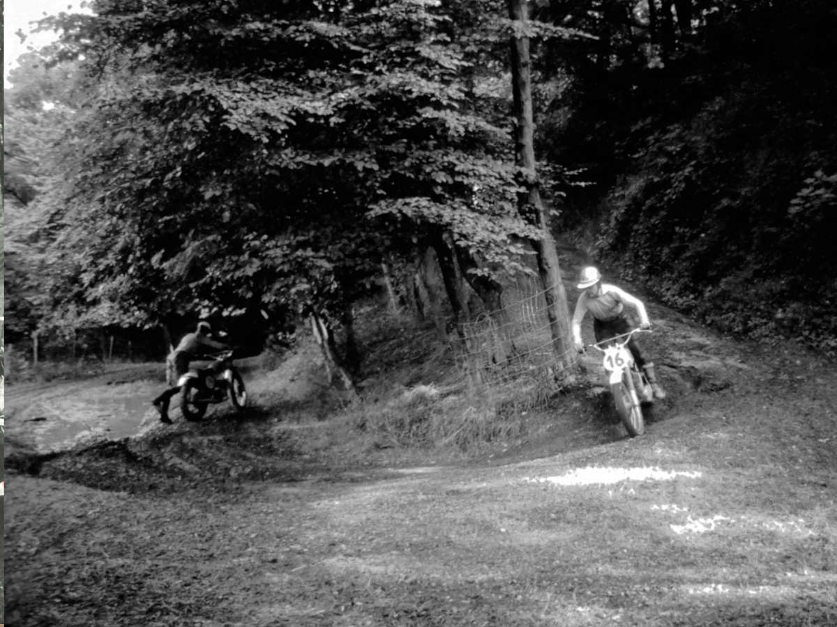 Dans les bois (1966)